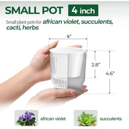 4-Piece Self-Watering Flower Pots, 10 cm – Flower Pot Set With Cotton Rope And Deep Water Reservoir, Transparent, For Orchids, Herbs, And Houseplants 4