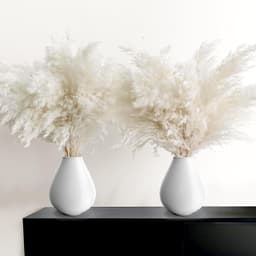 20 Large White Pampas Grass Stalks, Dried Reeds For A Vase, Perfect As Decoration For The Living Room, Bedroom, And Hallway 4